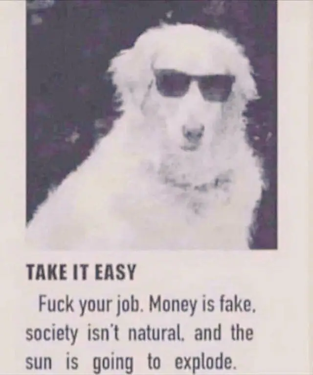 Shitposts 4
